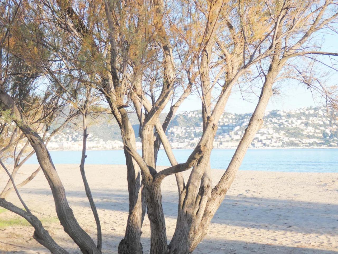 Mare Nostrum 131 Roses Bagian luar foto